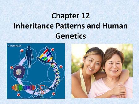 Chapter 12 Inheritance Patterns and Human Genetics.