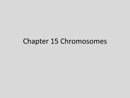 Chapter 15 Chromosomes. The chromosomal basis of sex In humans, Y chromosome determines sex XX X XY Gametes? p(son) p (daughter)