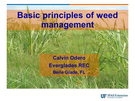 Basic principles of weed management