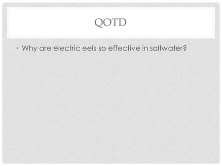 QOTD Why are electric eels so effective in saltwater?