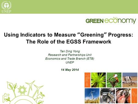 Using Indicators to Measure “Greening” Progress: The Role of the EGSS Framework Tan Ding Yong Research and Partnerships Unit Economics and Trade Branch.