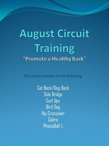 This circuit consists of the following: Cat Back/Dog Back Side Bridge Curl Ups Bird Dog Hip Crossover Cobra PhysioBall L.