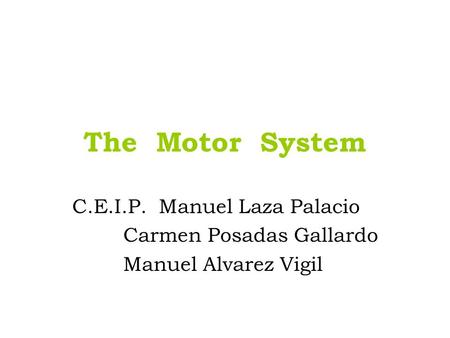 The Motor System C.E.I.P. Manuel Laza Palacio Carmen Posadas Gallardo Manuel Alvarez Vigil.