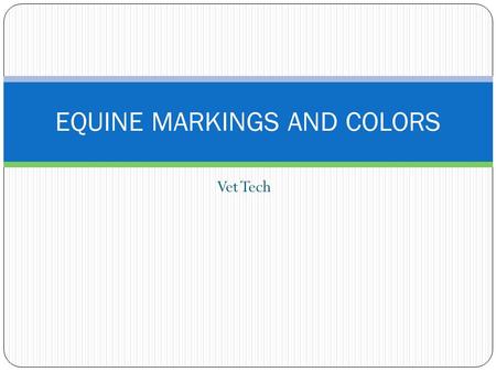 Vet Tech EQUINE MARKINGS AND COLORS. Classifications of Horses: A pony is a horse under 14.2 hands tall that weighs between 500 and 900 pounds. A light.