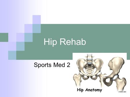 Hip Rehab Sports Med 2. Athlete must maintain cardiorespiratory fitness  Bike  swimming Total body strengthening Muscle endurance Proper stretching.