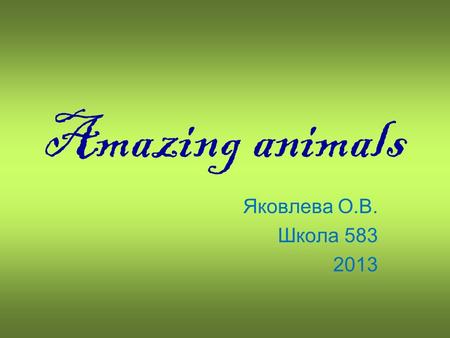 Amazing animals Яковлева О.В. Школа 583 2013. An elephant can hold 7 litres of water in its trunk. It’s the only animal with four knees.