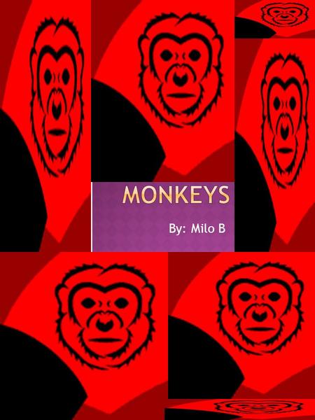 By: Milo B  Introduction…………………..1  Monkeys of The World………………..2-3  Apes and Monkeys…………………..4  Monkey body parts…………………5  FunFacts……………………6 