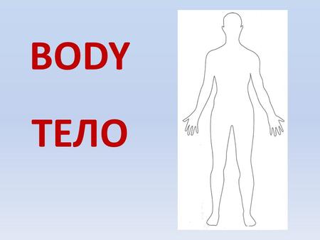 BODY ТЕЛО.