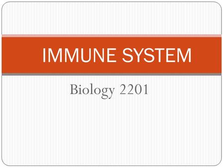 IMMUNE SYSTEM Biology 2201.