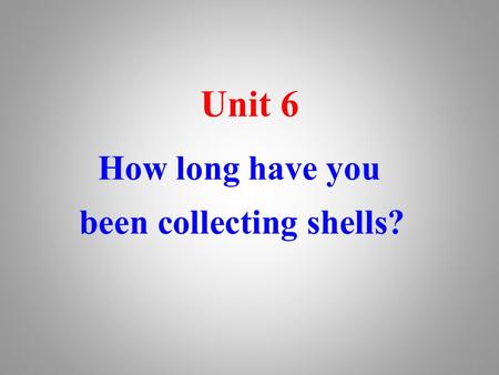 How long have you been collecting shells? Unit 6.