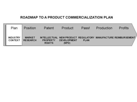 INTELLECTUAL PROPERTY RIGHTS