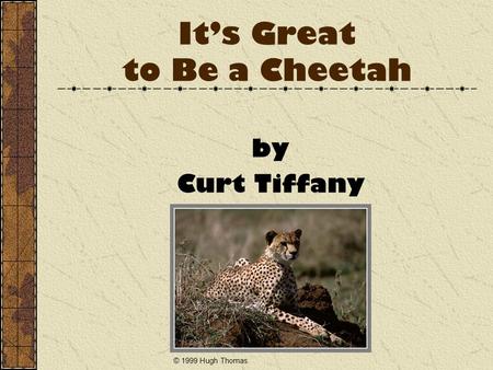 It’s Great to Be a Cheetah by Curt Tiffany © 1999 Hugh Thomas.