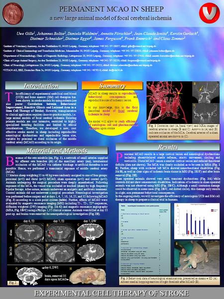 A new large animal model of focal cerebral ischemia ResultsResults Material and Methods Fig. 3 Behavioral data of neurological examinations, presented.