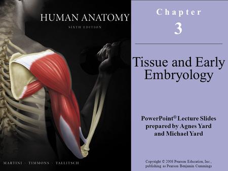 Copyright © 2008 Pearson Education, Inc., publishing as Pearson Benjamin Cummings C h a p t e r 3 Tissue and Early Embryology PowerPoint ® Lecture Slides.