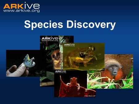 Species Discovery. Diversity of Life Nobody actually knows! Estimates range between 3 - 100 million different species. Latest prediction: = 8.7 million.