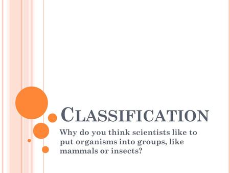 C LASSIFICATION Why do you think scientists like to put organisms into groups, like mammals or insects?