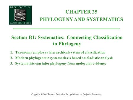 PHYLOGENY AND SYSTEMATICS