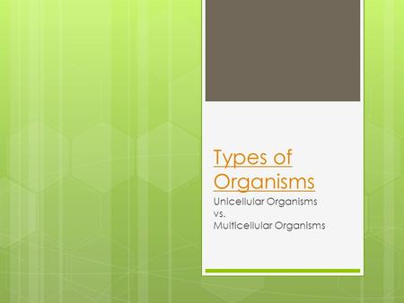 Unicellular Organisms vs. Multicellular Organisms