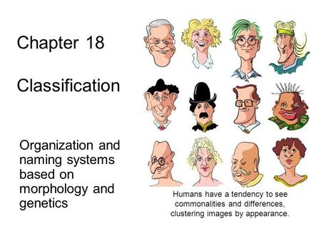 Chapter 18 Classification