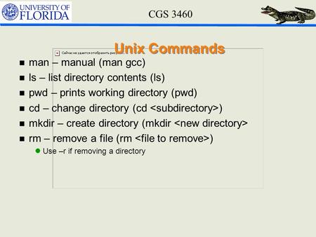 CGS 3460 Unix Commands n man – manual (man gcc) n ls – list directory contents (ls) n pwd – prints working directory (pwd) n cd – change directory (cd.