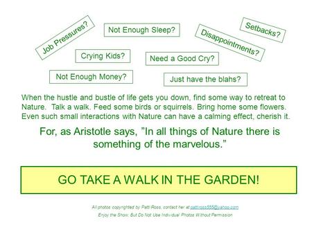 When the hustle and bustle of life gets you down, find some way to retreat to Nature. Talk a walk. Feed some birds or squirrels. Bring home some flowers.