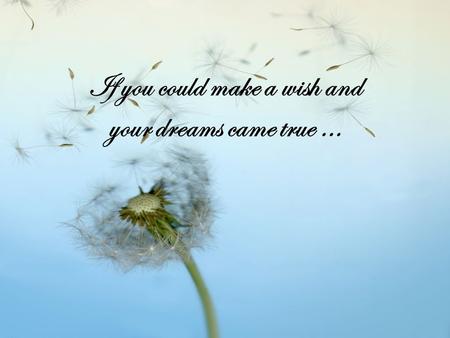 If you could make a wish and your dreams came true …