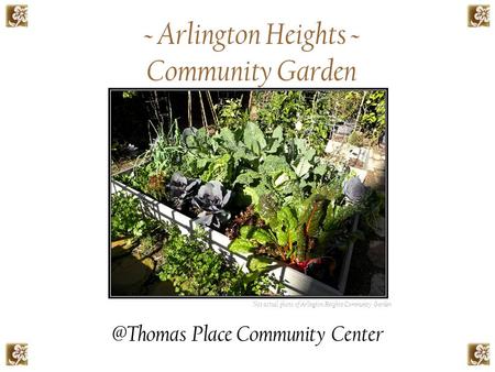 ~ Arlington Heights ~ Community Garden Not actual photo of Arlington Heights Community Place Community Center.