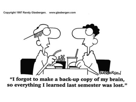 A2 Biology Topic 8 Grey Matter You’ve gotta nerve! LO: Locate and state the functions of the regions of the human brain’s cerebral hemispheres (ability.