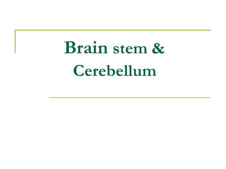 Brain stem & Cerebellum. The brain Telencephalon Diencephalon Cerebellum Brain stem.