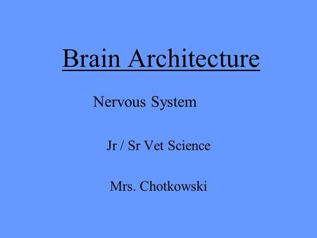 Brain Architecture Jr / Sr Vet Science Mrs. Chotkowski Nervous System.