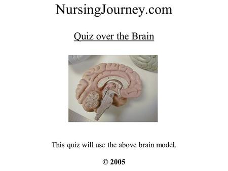 NursingJourney.com Quiz over the Brain © 2005 This quiz will use the above brain model.