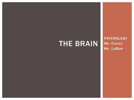 PSYCHOLOGY Ms. Currey Ms. LaBaw THE BRAIN.  1. Identify and describe the functions of the lower-level brain structures. 2. Identify and describe the.