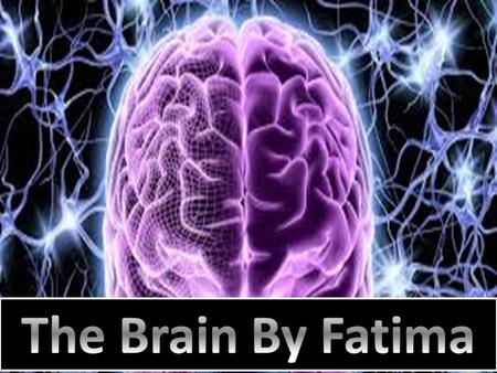 Brain Facts The brain looks soft and squooshy. It is 10% fat. There is skin all around your brain. Your brain is red and maroon and brown. It has lines.