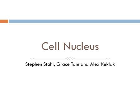 Cell Nucleus Stephen Stahr, Grace Tam and Alex Keklak.