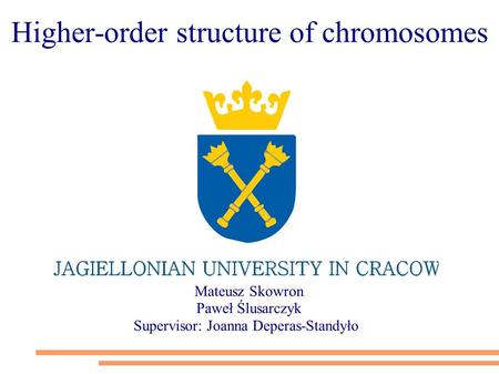 Mateusz Skowron Paweł Ślusarczyk Supervisor: Joanna Deperas-Standyło Higher-order structure of chromosomes.