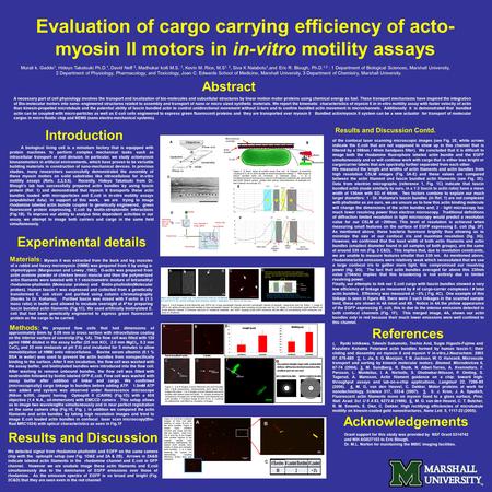 Evaluation of cargo carrying efficiency of acto- myosin II motors in in-vitro motility assays Murali k. Gadde 1, Hideyo Takatsuki Ph.D. 1, David Neff 3,