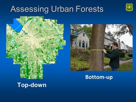 Assessing Urban Forests Top-down Bottom-up. Assessing Urban Forests Top-down Produces good cover estimates Can detail and map tree and other cover locations.