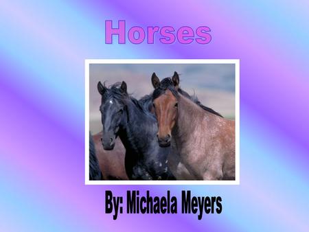 Slide 1: Cover page Slide 2: Table of contents Slide 3: Origins of horses Slide 4-7: Breeds Slide 8-11: Colors Slide 12: English riding- Jumpers Slide.