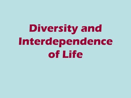 Diversity and Interdependence of Life. Speciation We have learned that evolution is the process of DNA mutations creating new species over time. What.