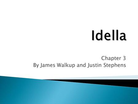 Chapter 3 By James Walkup and Justin Stephens.  Crescent Beach is a beach near St. Augustine. Mrs. Rawlings owns a cottage there where they go often.