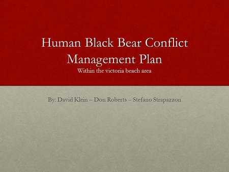 Human Black Bear Conflict Management Plan Within the victoria beach area By: David Klein – Don Roberts – Stefano Strapazzon.