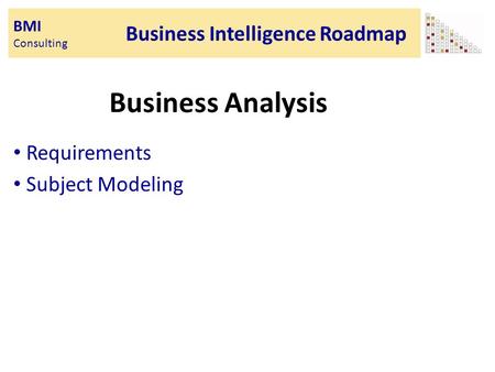 BMI Consulting Business Intelligence Roadmap Business Analysis Requirements Subject Modeling.