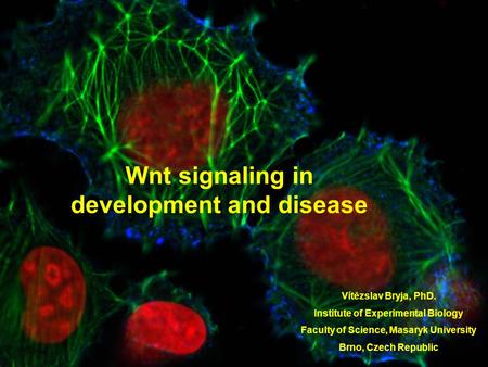 Wnt signaling in development and disease Vítězslav Bryja, PhD. Institute of Experimental Biology Faculty of Science, Masaryk University Brno, Czech Republic.