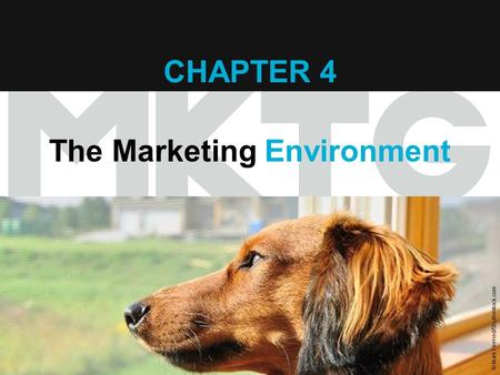 Chapter 4 Copyright ©2012 by Cengage Learning Inc. All rights reserved 1 CHAPTER 4 The Marketing Environment © Mark Herreid/Shutterstock.com.