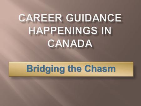 Bridging the Chasm. career counsellor Students, adults Immigrants, school drop-outs career consultant Develop CG resources CG research reports parent.