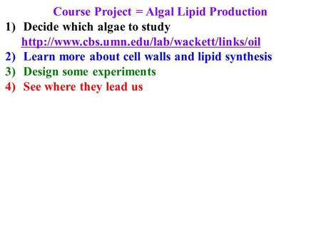 Course Project = Algal Lipid Production 1)Decide which algae to study  2)Learn more about cell walls and lipid.