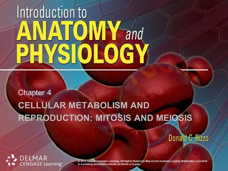 © 2012 Delmar Cengage Learning. All Rights Reserved. May not be scanned, copied, duplicated, or posted to a publicly accessible website, in whole or in.