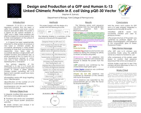 Design and Production of a GFP and Human IL-13 Linked Chimeric Protein in E. coli Using pQE-30 Vector Stephen R. Suknaic Department of Biology, York College.