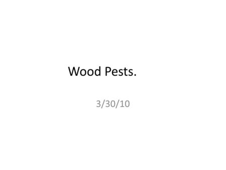 Wood Pests. 3/30/10. Understanding size Lumber is not actually the size that it is named. Example: The common 2 x 4 is not 2 x 4 inches. Until the advent.