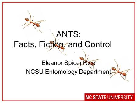 ANTS: Facts, Fiction, and Control Eleanor Spicer Rice NCSU Entomology Department.